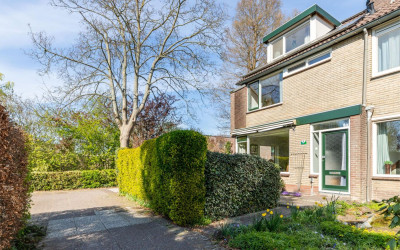 Kleverplant. 1