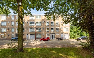 van Herwijn. 238
