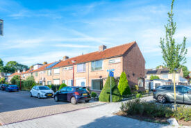 Scheldestra. 27
