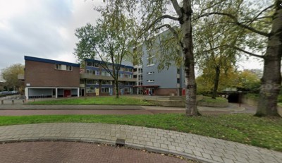 Lijsterbess. 100