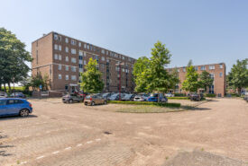 Kribbemonde 91
