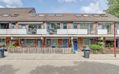 Goudfazant 6