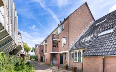 Moerbeigaar. 13