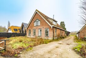 Reinesteijn. 2