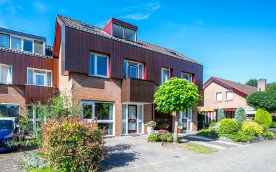 Ringslangweide 49