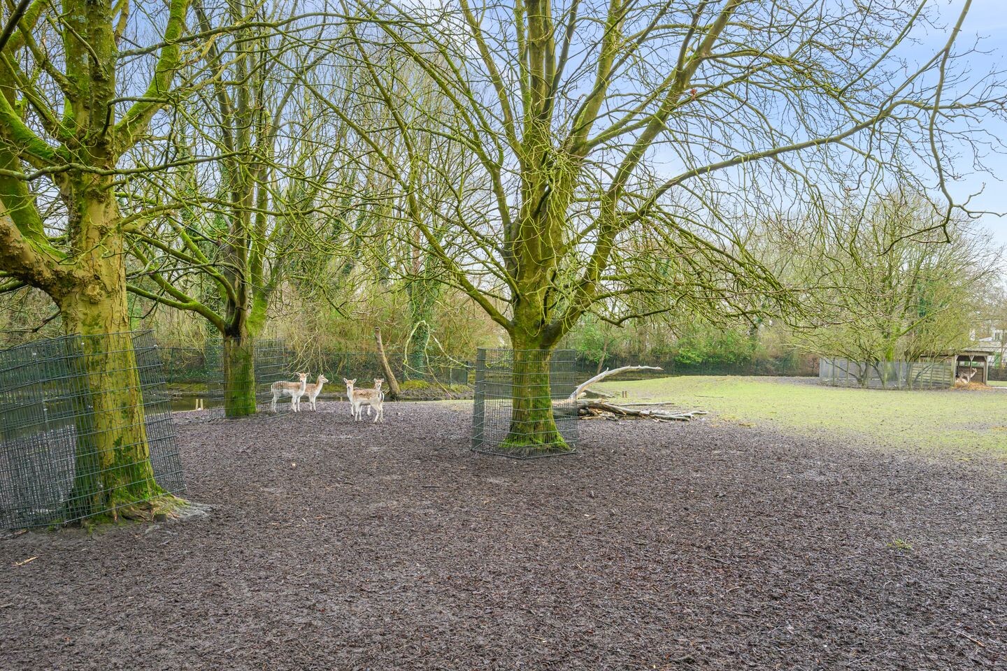 Tussenwoning te koop: Isolde 3, Nieuwegein