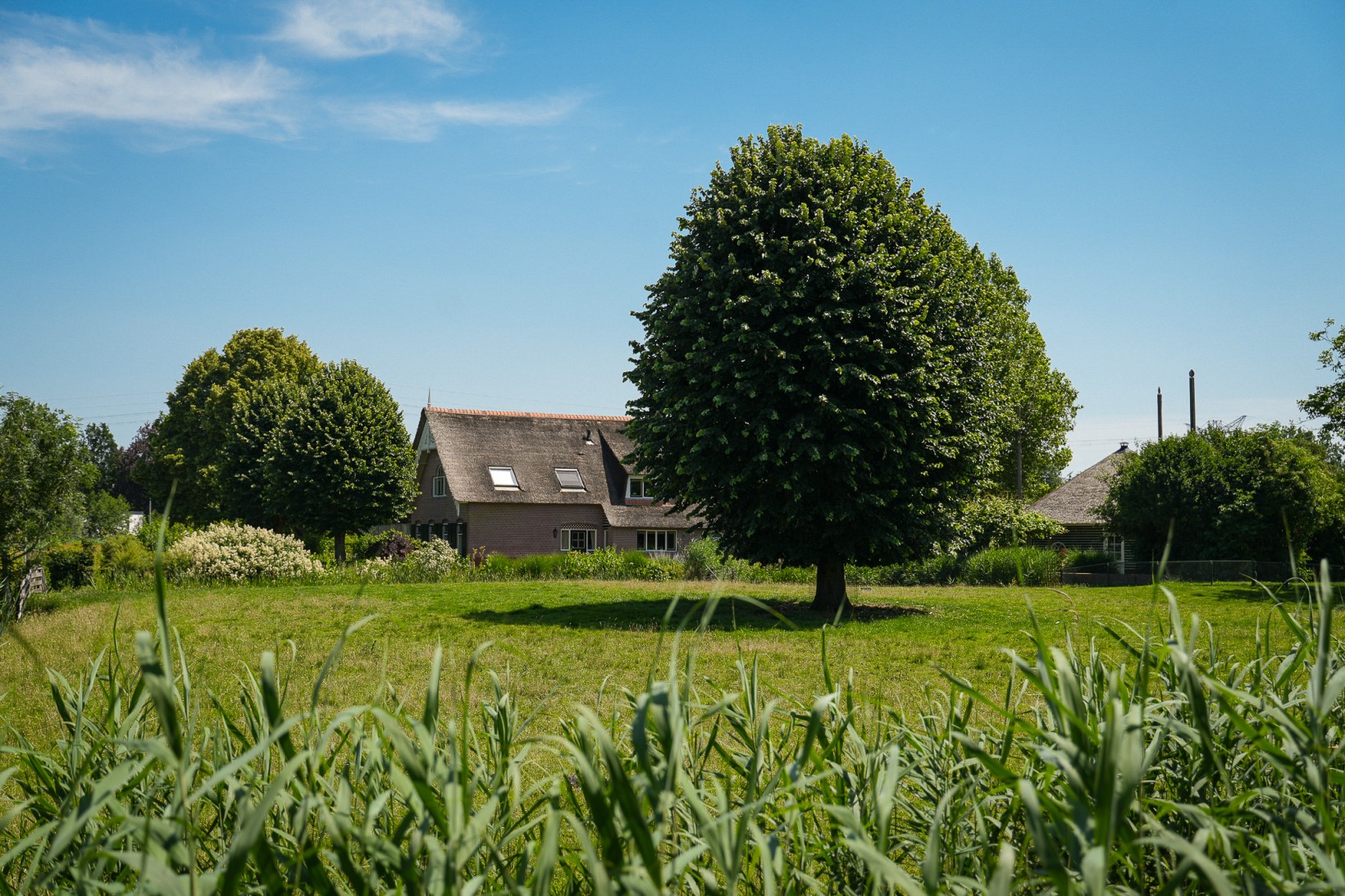 Vrijstaande woning te koop: Breeveld 18, Woerden