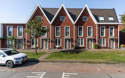 Paddenstoel. 113