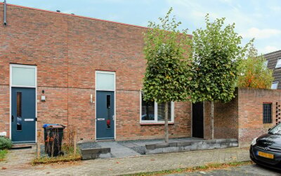 Zevenblad 7
