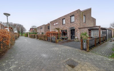 Akkerdistel 1