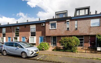 Pijlkruid 32