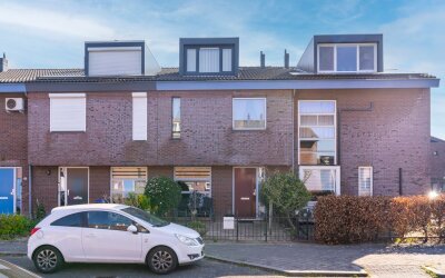 Pijlkruid 34