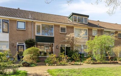 Laan 1954 39