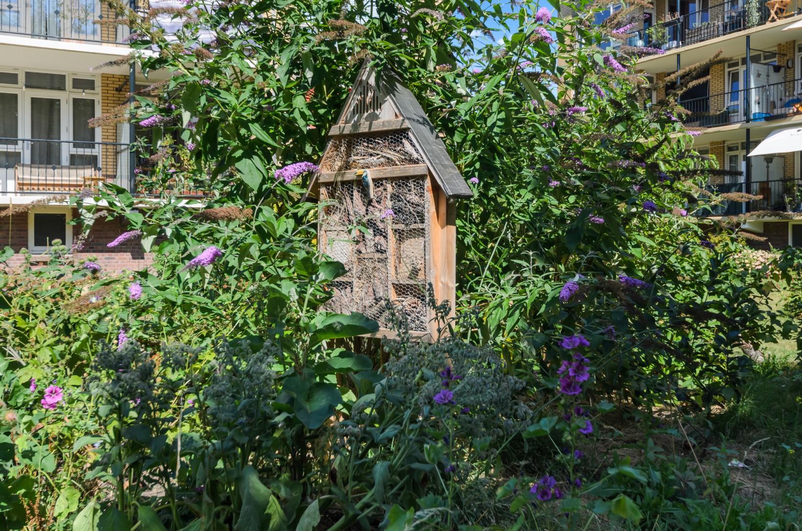 Appartement te koop: Tolsteegplantsoen 43-3, Utrecht