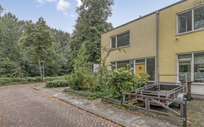 Herautsingel 51