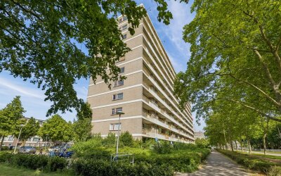 Livingstone. 198