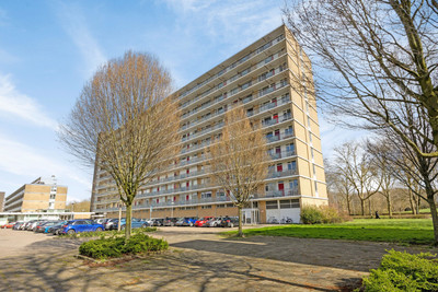 Livingstonelaan 570