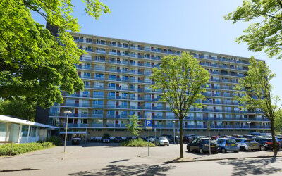 Livingstone. 596