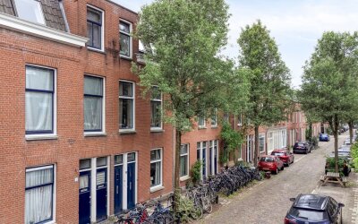 Van Diemens. 4