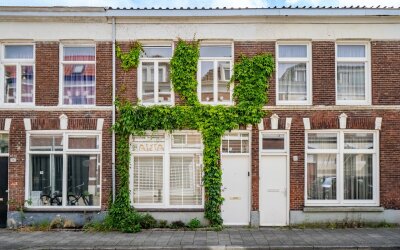 Borneostraat 38