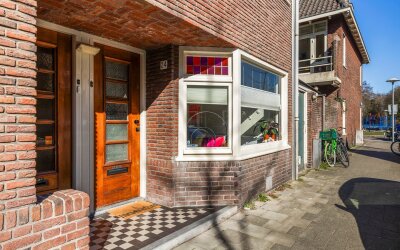 Kneppelhout. 24
