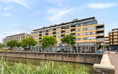 Grauwaartsingel 450