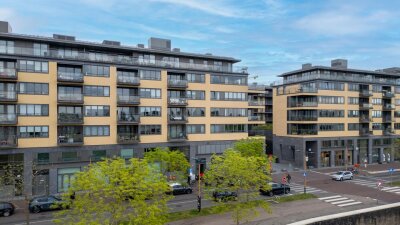 Grauwaartsingel 456