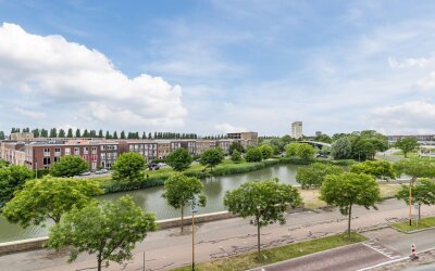 Grauwaartsingel 492