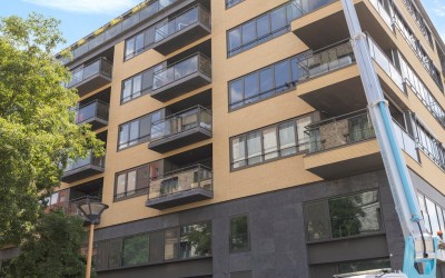 Grauwaartsingel 496
