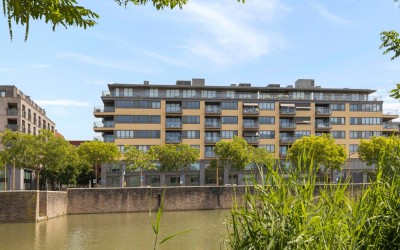 Grauwaartsingel 496