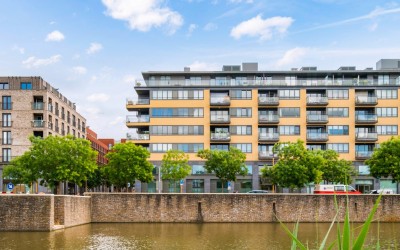 Grauwaartsingel 498