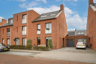 Wilde rijstvliet 90