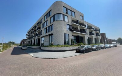 Wilde rucolavliet 39