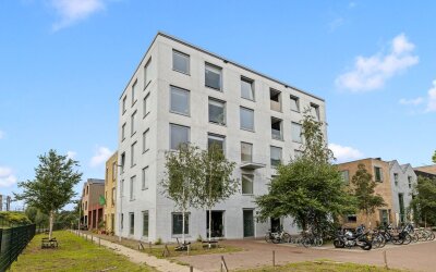 Bromwissel 53
