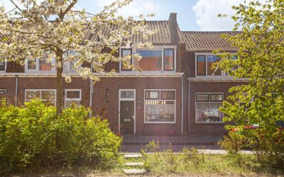 Boerhaavela. 62