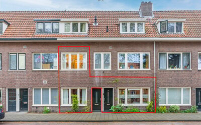 Boerhaavela. 82