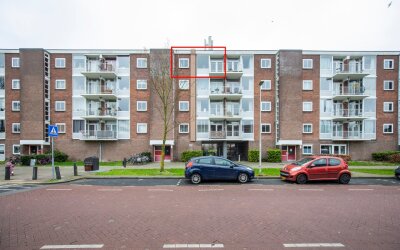 Zwanenvecht. 66