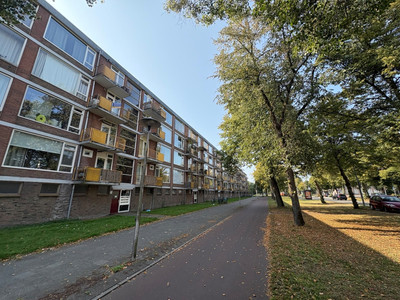 Moezeldreef 235