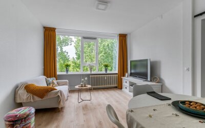 Dommeringdreef 241