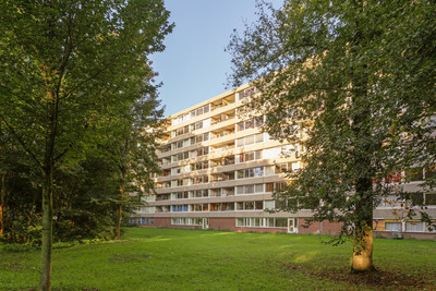 Tafelbergdreef 142