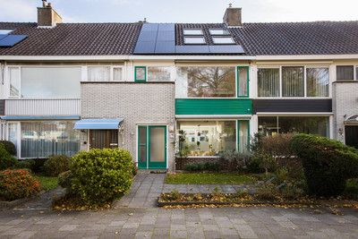 Kouwerplant. 82