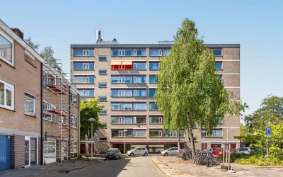 Molengraaffplantsoen 39