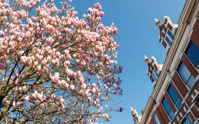 Willem Barentszstraat 11