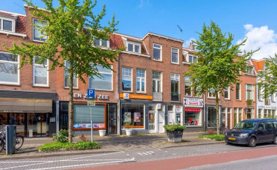 Adriaen van Ostadelaan 41-BS