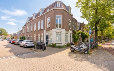 Ferdinand Bolstraat 9-BS