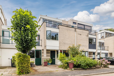 IJsvogel 25
