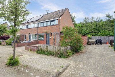 Kamelenspoor 8