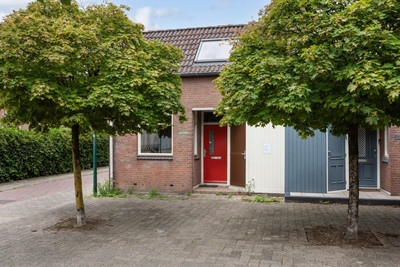 Kamelenspoor 381