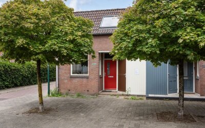 Kamelenspoor 381