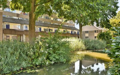 Bloemstede 664